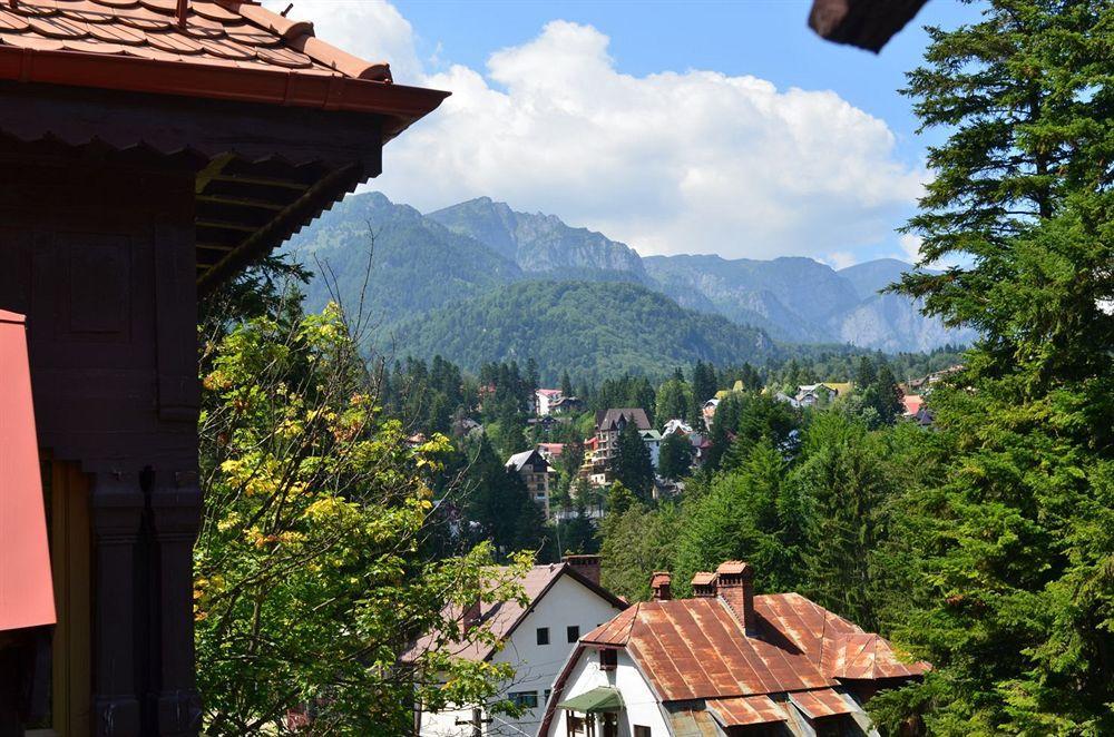 Vila Arizto Hotel Sinaia Buitenkant foto