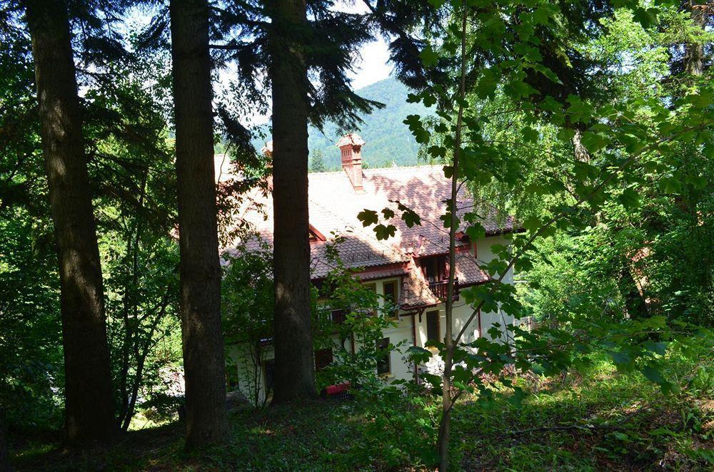 Vila Arizto Hotel Sinaia Buitenkant foto