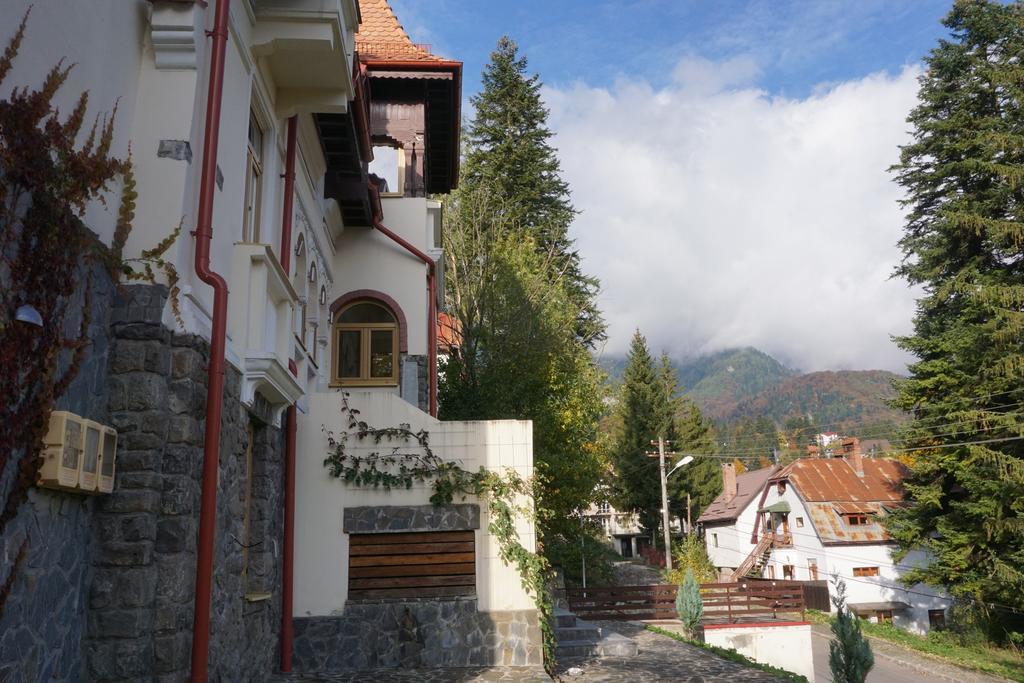 Vila Arizto Hotel Sinaia Buitenkant foto