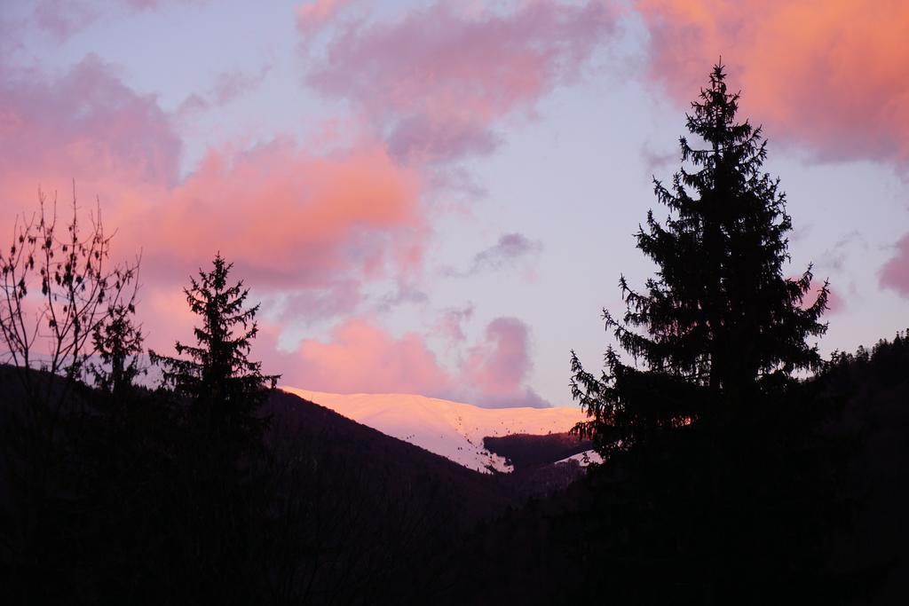 Vila Arizto Hotel Sinaia Buitenkant foto