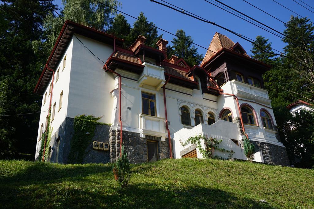 Vila Arizto Hotel Sinaia Buitenkant foto